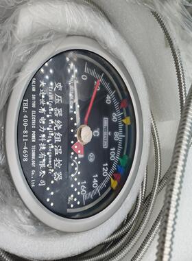 大连世有变压器绕组温控器BWR2-06AJ(TH)变送器BL