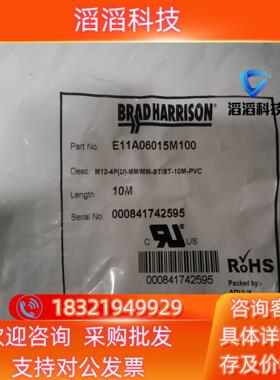 现货连接线E11A06006015M100 0008417425