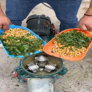 时产200斤左右 德峰 220V2相家用照明电就能带动 饲料颗粒机