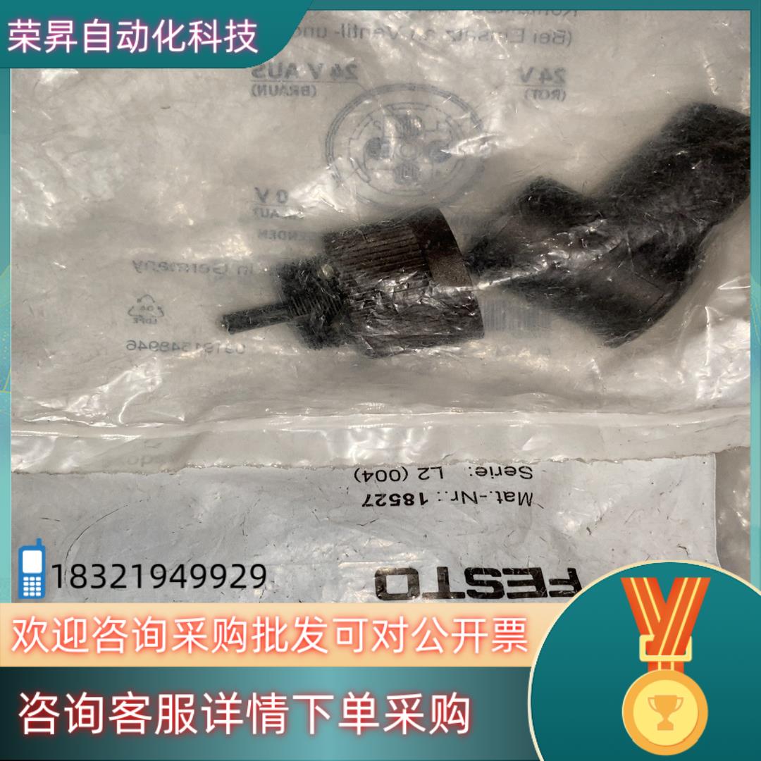 现货FESTO  18527 NTSD-WD-9 2个