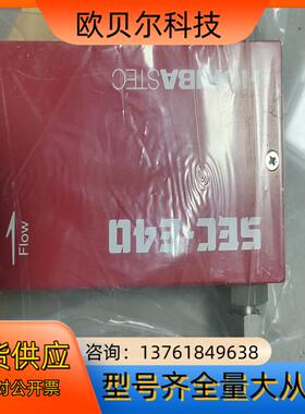 HORIBA STEC堀场气体计 SEC-E40