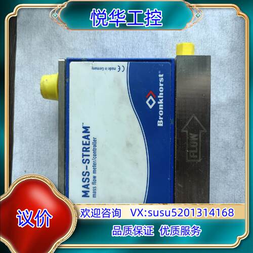 德国MASS-STREAM质量计 D-6340-DR 实议价
