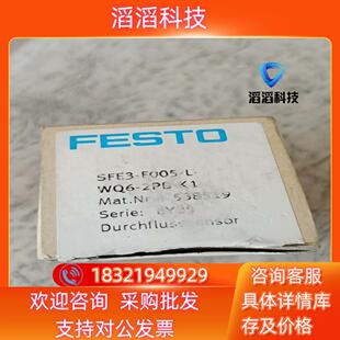 WQ6 现货费斯托计538519 F005 SFE