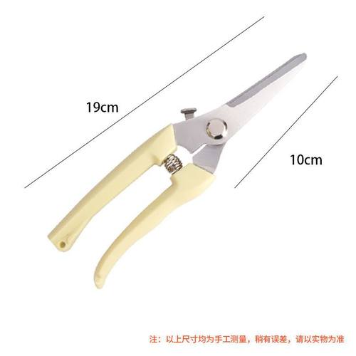 果树修剪刀园林修剪树枝专用剪子省力园艺修花枝花艺剪刀多功能