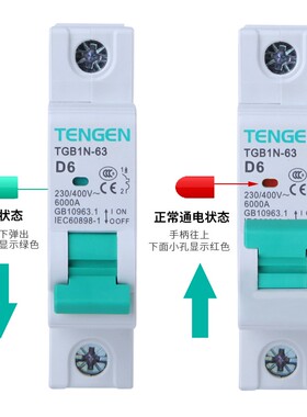 天正 TGB1N-63空气开关电动机用动力D型小型断路器2P3P单三相380V