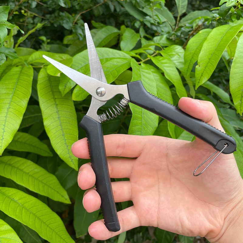 园林园艺修枝剪刀果树粗枝滑轮省力家用手工花枝条剪子锯子厂家