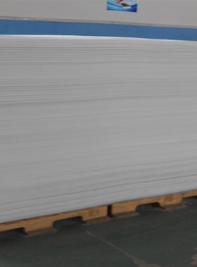 定做塑料菜板砧板防霉塑料案板切菜板占板刀板猪肉分割台面包板