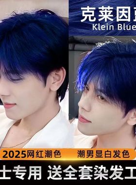克莱因蓝色染发膏2025流行色植物染发剂在家自己染发潮流黑茶冷棕