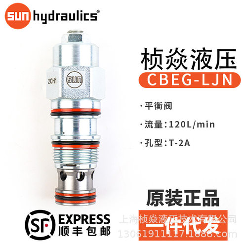 SUN平衡滑阀溢流阀 RVCA-LAN RVCA-LCN 插装阀 RVCA-LWN 原装正品