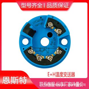 E+H 温度变送器 TMT80 Endress+Hauser 温度传感器