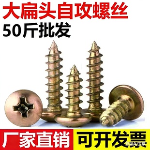 镀彩锌十字大扁头自攻螺丝钉加硬蘑菇伞头自攻钉尖尾木螺钉M4M5