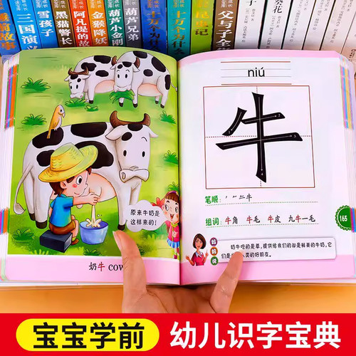 宝宝启蒙识字字典幼儿早教识字绘本学前识字教材2岁3岁4岁3-6岁儿童看图识字卡片幼儿园大班中班益智象形识字大王早教书一年级识字