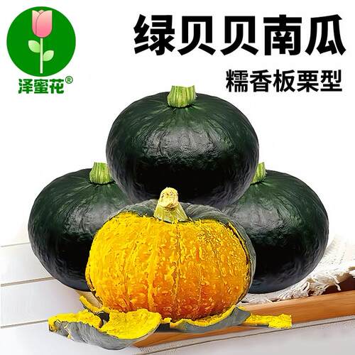 绿贝贝南瓜种子大全四季高产正宗板栗味迷你小南瓜种籽苗蔬菜种孑 - 封面