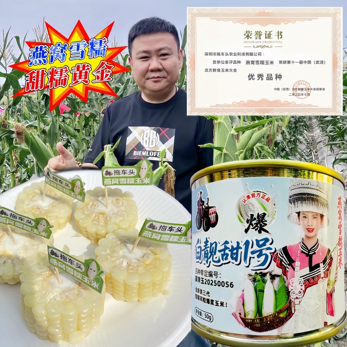 超甜爆汁水果玉米种子燕窝雪糯50g罐装高端轻奢糯玉米种籽新品种,鲜花速递/花卉仿真/绿植园艺,家庭园艺种子,淘宝优惠券,粉丝福利购,淘宝优惠卷