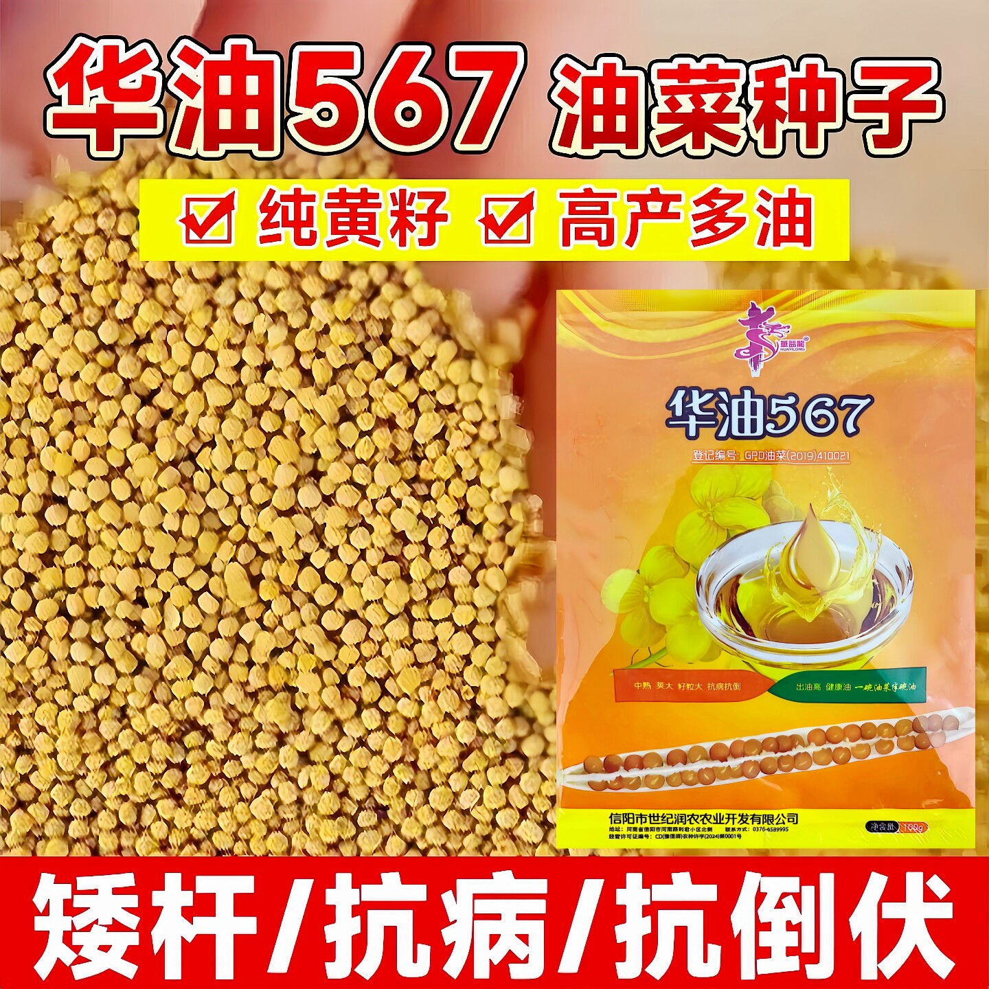 厂家原包装华油567油菜种子批发图片