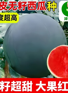 黑皮无籽西瓜种子大全红壤超甜高产薄皮水果种籽阳台盆栽蔬菜种孑