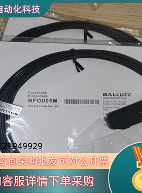 现货巴鲁夫BFO005M