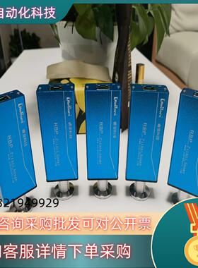 现货睿宝科技真空计型号RBP-101/KF10-16