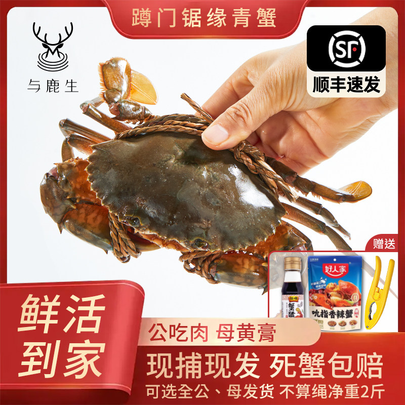 与鹿生特大青蟹超大红膏海鲜水产鲜活顺丰包邮包活送礼礼盒装