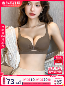 品牌内衣女士聚拢小胸2023新款收副乳防下垂性感文胸罩套装多情猫