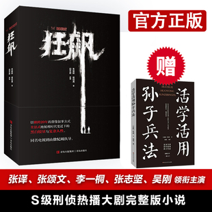 张颂文 狂飙书籍 高启强 张译 狂飙小说 李一桐电视剧狂飙全集原著书 犯罪悬疑小说畅销书正版 现货赠孙子兵法