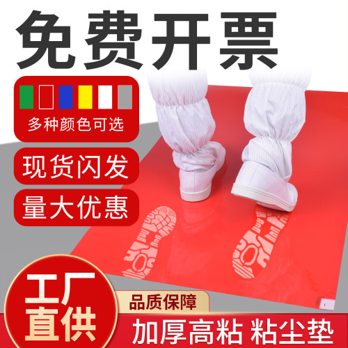 工厂直营无尘车间除尘门口粘尘垫