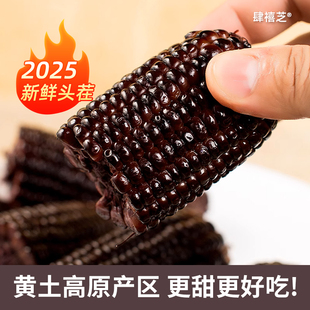 肆禧芝当季 新鲜黏苞米头茬大棒 现摘山西黑玉米甜糯玉米粗粮真空装