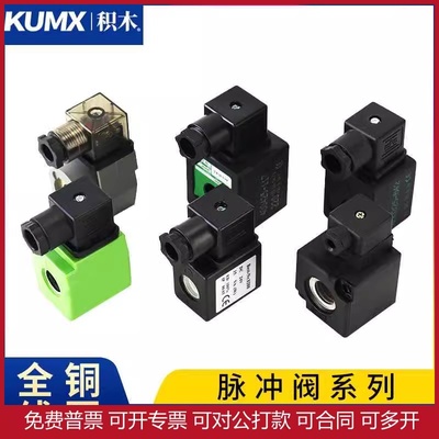 内孔10 袋式高原电磁脉冲阀线圈DC24V/DMF/N282/SCG353A/Nr.0200