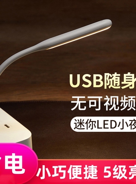 随身LED灯无频闪一档适用于移动电源充电宝usb灯条直插式户外随身小夜灯迷你灯便携