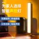 智能语音台灯控制灯USB声控灯感应灯led插口小夜灯一体床头灯