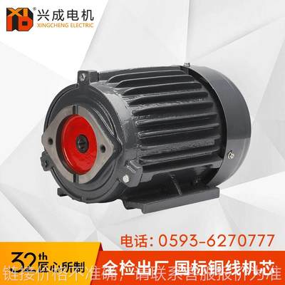 YT铜线1.5~7.5kw VP20两孔四孔平键花键内轴卧式三相液压油泵电机