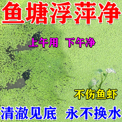 浮萍一次净鱼池浮萍清除剂