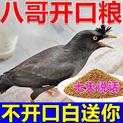 八哥开口】八哥鸟食饲料鹩哥速学说话抗拉稀型亮毛肥膘专用营养粮