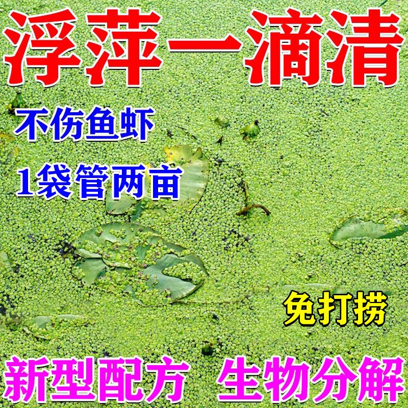 鱼池浮萍清除剂免打捞一扫光