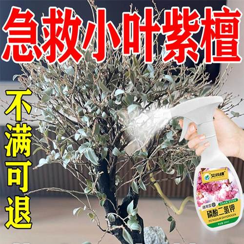 小叶紫檀专用肥料急救叶子发黄枯萎掉叶赤楠黄杨盆景营养液盆栽土