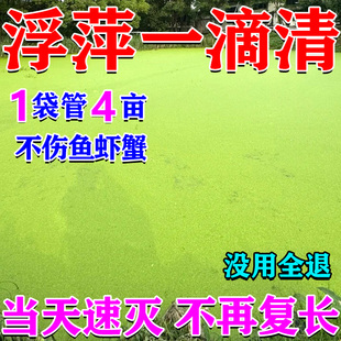 鱼池浮萍清除剂不伤鱼虾蟹免打捞一扫光除绿藻杀青苔浮萍清理神器