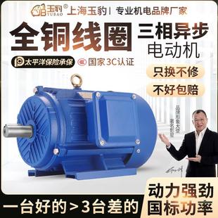 380V电机 全铜国标 55KW 18.5 三相异步电动机