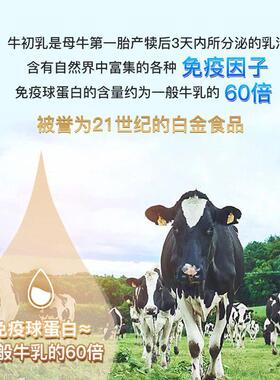 WIZO【自营】HI0ELL高级巧克力牛乳咀嚼初片15粒/盒