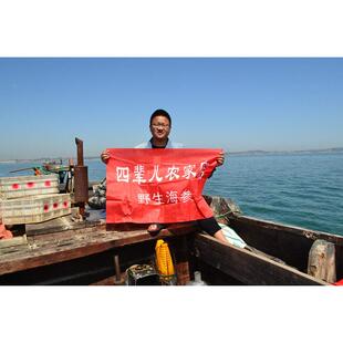 大渔民捕捞野生淡BJO干海参刺参连-辽参礼盒海渗干/货非即食47只5