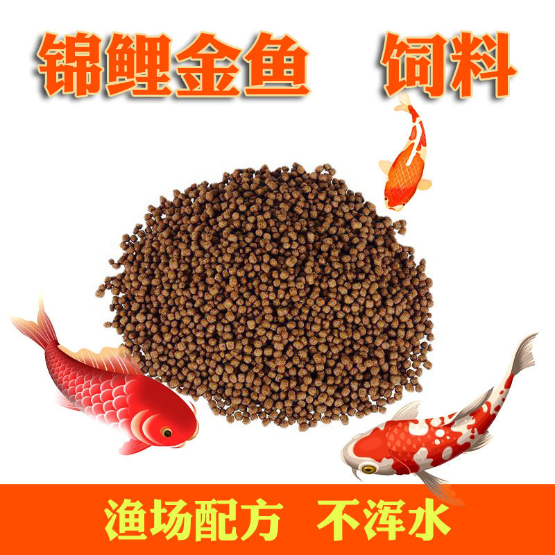 锦鲤饲料鱼食小颗粒金观