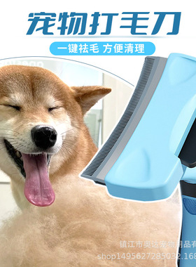 宠物梳子猫狗美容工具打