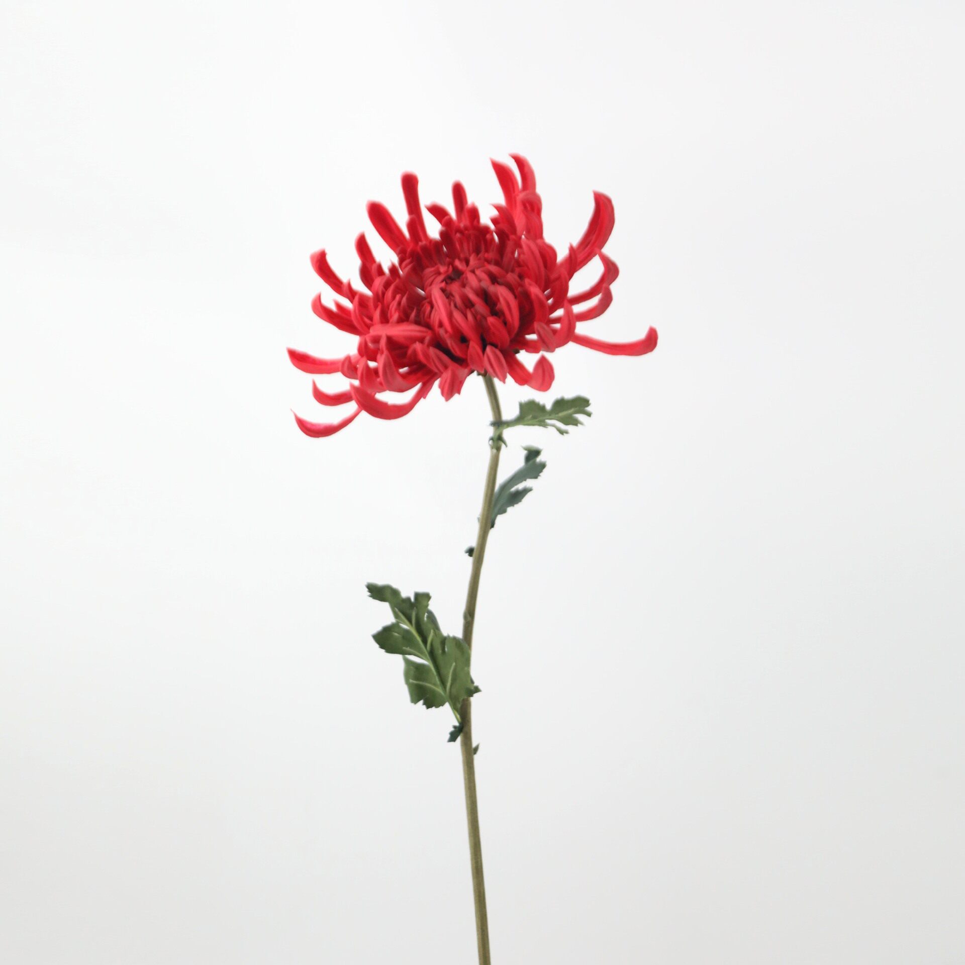 花PU大菊花假花家居装饰