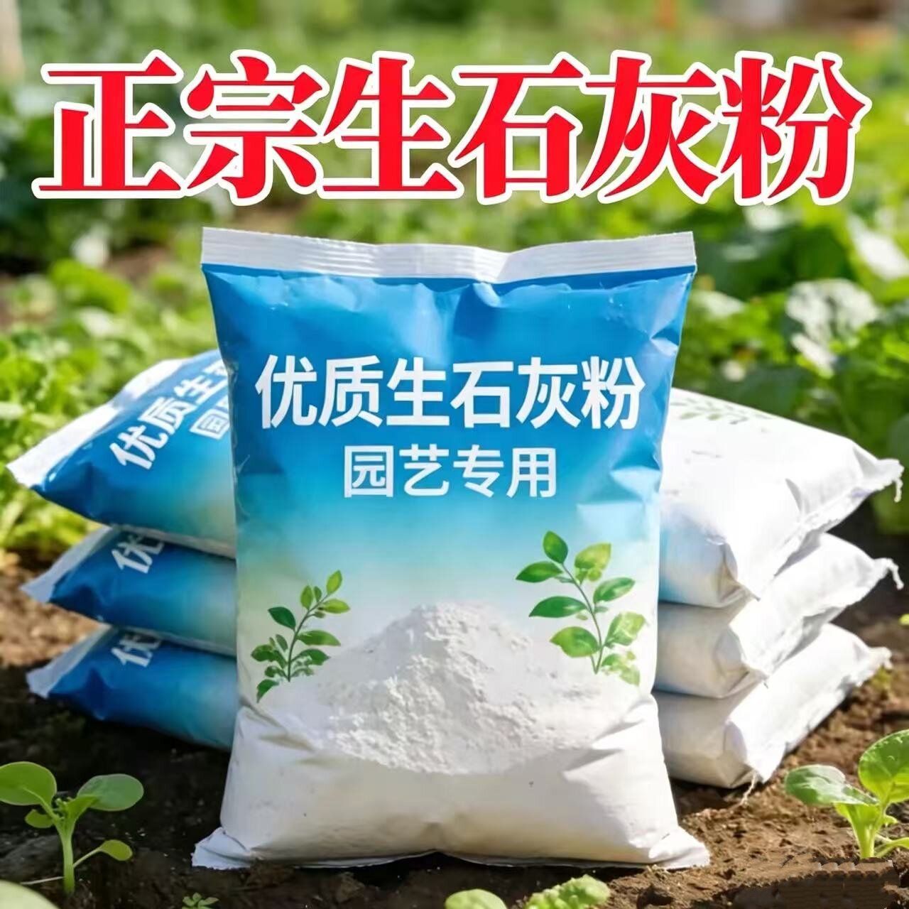 生石灰粉种菜杀虫菌消毒防潮除湿农用改良土壤净水树木刷白干燥剂