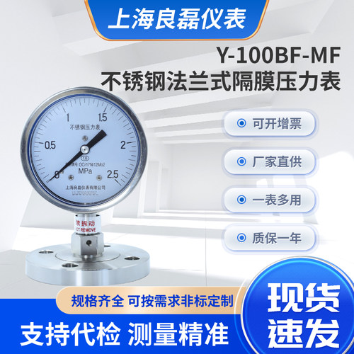 良磊仪表Y-100BF-MF法兰链接安装