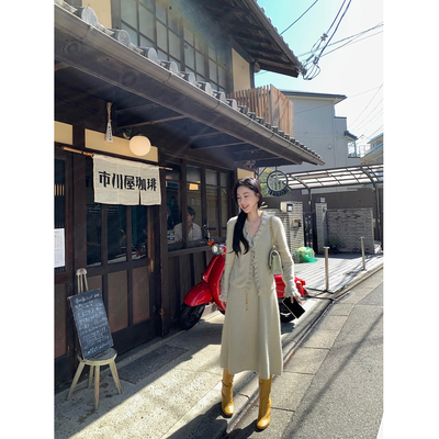 isaro uu 高品山羊绒浣熊绒混纺~定染亲肤V领无袖针织连衣裙