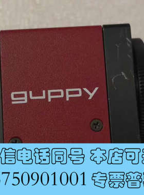 全新议价AVT GF 503B ASG 黑白 高清 工业相机 5询价