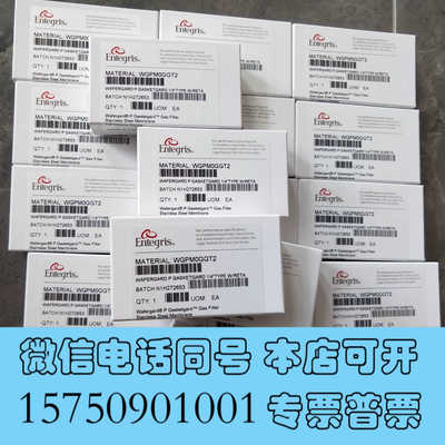 全新美国ENTEGRIS英特格，过滤器WGPMOGGT2，WGP询价