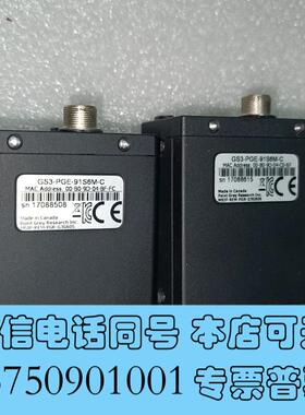 全新灰点900万像素网口工业相机,型号GS3-PGE-91S6M需询价