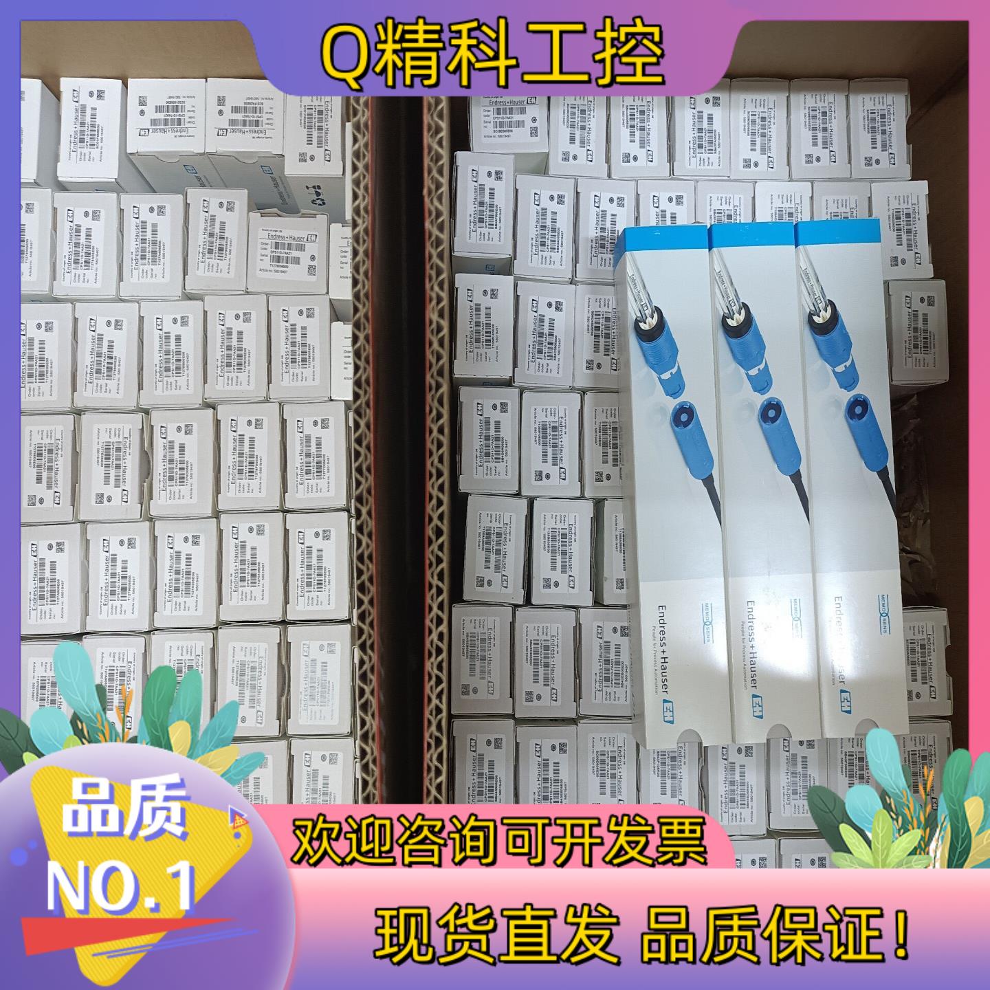 现货CPS11D-7BT21 E+H恩德斯豪斯CPS11D-7B