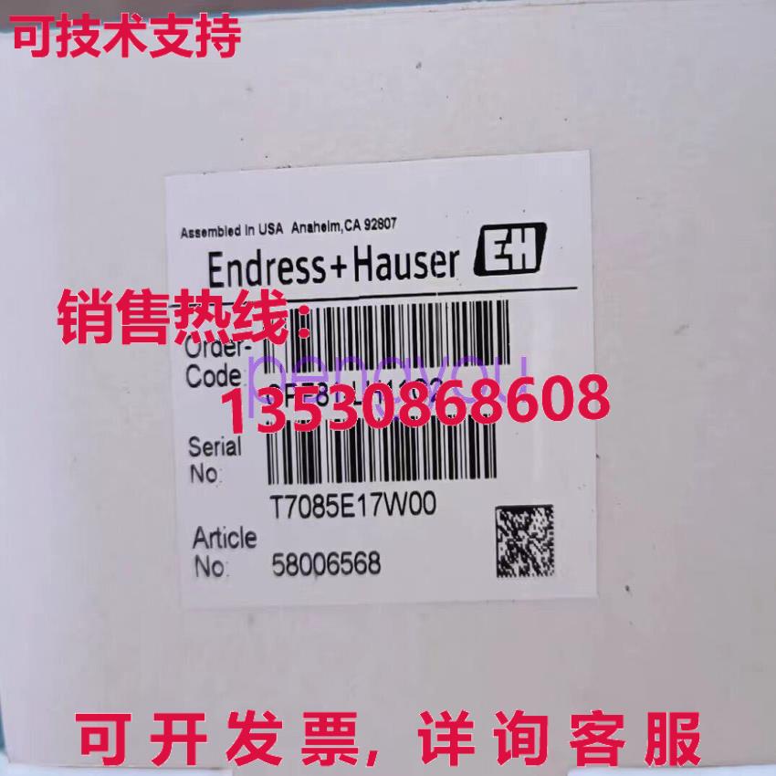 E+H CPF81-LH11C2电极库存现货